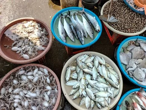 Sea fish Stock Photos