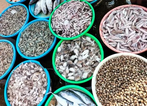 Sea fish Stock Photos