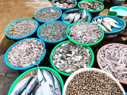 Sea fish Stock Photos
