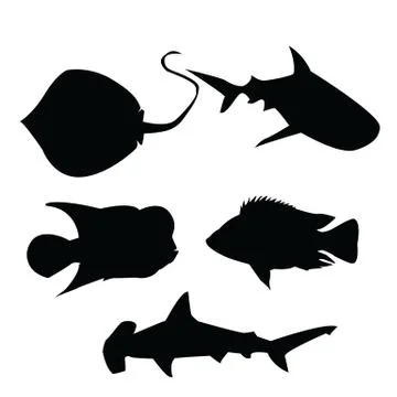 Sea fish shadow Stock Illustration