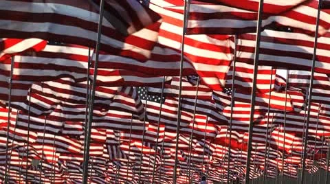 Sea of flags Stock-Footage 8853703