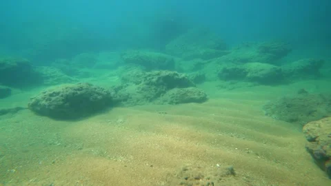Sea Floor Stock Footage 143428270