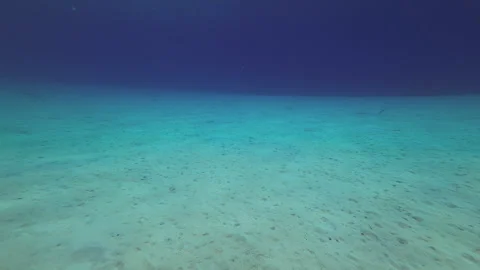 Sea floor ocean acidification Stock Footage 317189367
