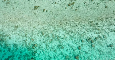 Sea floor in Romblon, Philippines. Stock Footage 263720854
