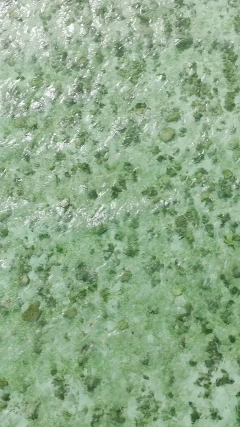 Sea floor in Romblon, Philippines. Stock Footage 306900736