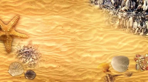 The sea floor with seashells Video stock 64751556