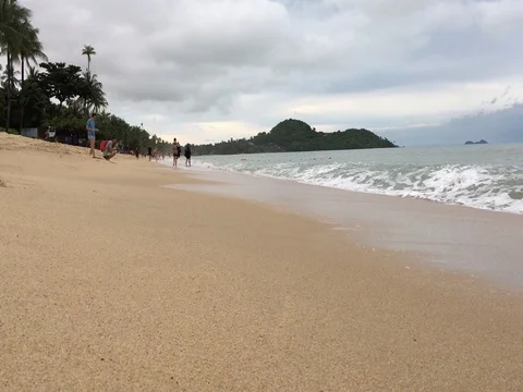 Sea foam on the beach Video stock 72535631