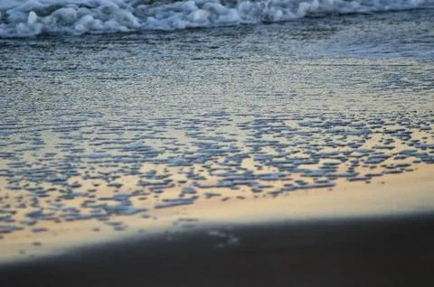 Sea foam on the beach with reflection of light Stock Photos
