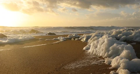 Sea foam on the beach at sunset Stock Footage 87776958
