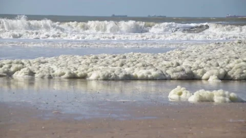 Sea foam moved by ocean waves Stock Footage 201894896