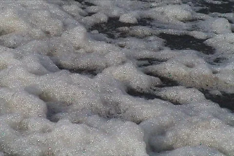 Sea foam moving Video stock 113260
