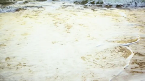 Sea foam on a sandy beach under the sun Stock Footage 82322014