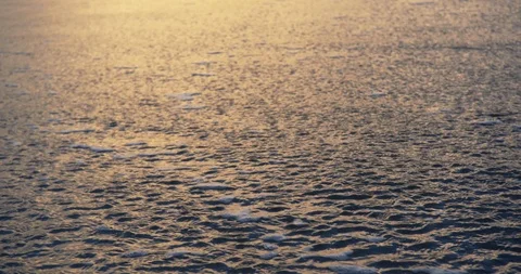 Sea foam in the shallows at sunset. Stock Footage 88373563