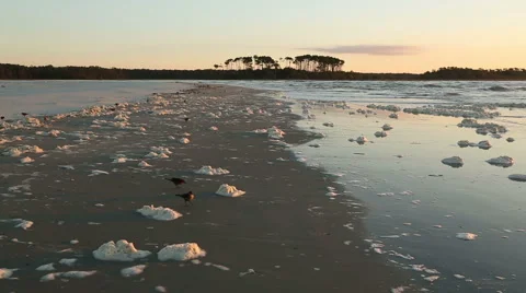 Sea foam on the shore Stock Footage 49229810