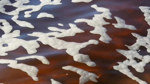 Sea foam water surface background Stock Footage 161489518