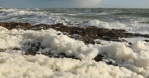 Sea foam in the wind Stock Footage 87566210