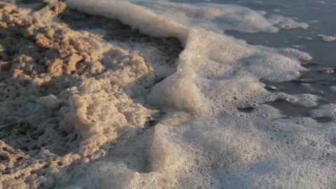 Sea foam in the wind Stock Footage 177051984