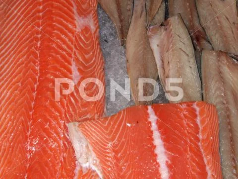 Sea food Stock Photos