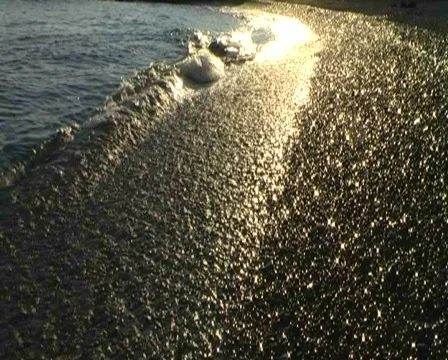Sea Stock Footage 312904