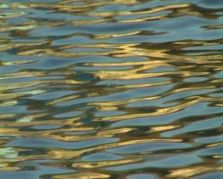Sea Stock Footage 313326