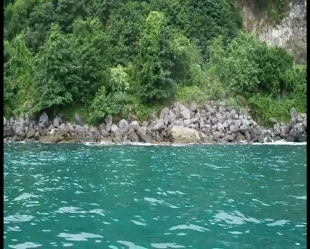 From the Sea 库存影片 338170