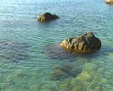 Sea Stock Footage 398835