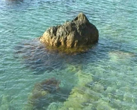 Sea Stock Footage 399199