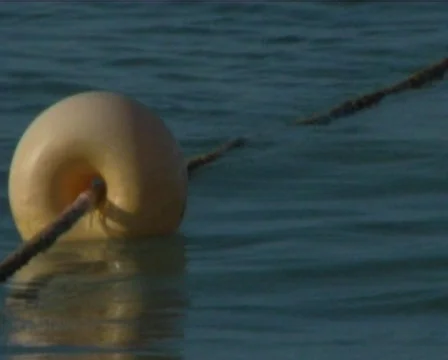 Sea Stock Footage 560358