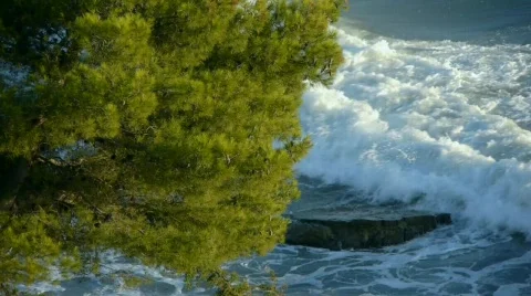 Sea Stock Footage 843203