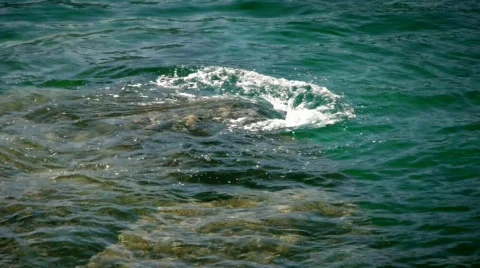 Sea Stock Footage 859057