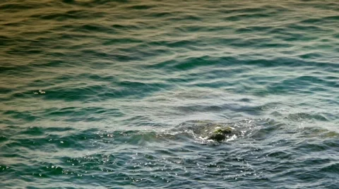 Sea Stock Footage 859094