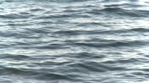 Sea 스톡 동영상 978927