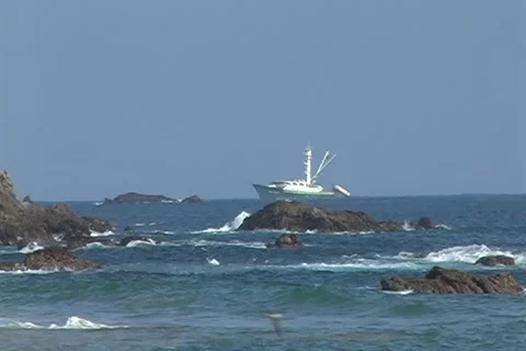 Sea 스톡 동영상 1237023