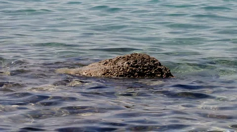 At the sea Vídeos de archivo 5075455