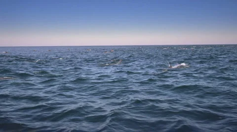 Sea Stock Footage