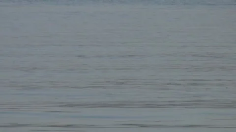 Sea Video stock 8766129