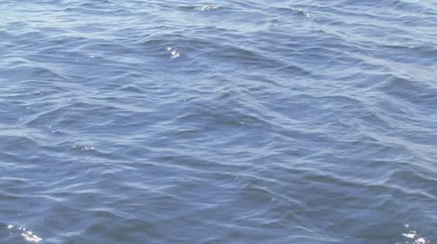 Sea Stock Footage 8946378