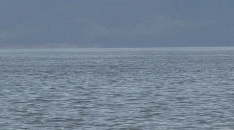 Sea Stock Footage 8946566