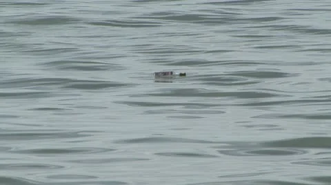 Sea Stock Footage 8946761