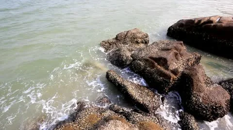 Sea 스톡 동영상 10744828