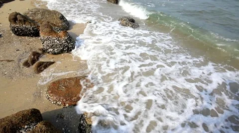 Sea Stock Footage 10745001