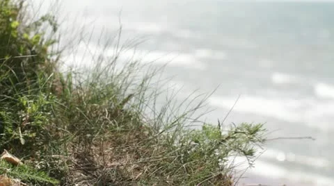 Sea Stock Footage 11195436