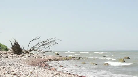 Sea Stock Footage 11195466