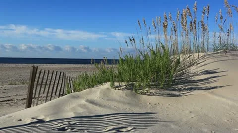By the sea Stock Footage 12320913