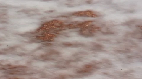 Sea Stock Footage 12351740