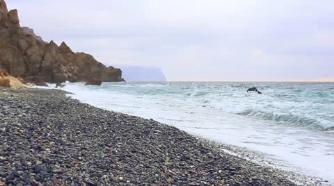 Sea 库存影片 18151312