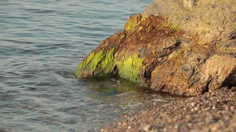 Sea 스톡 동영상 22779307