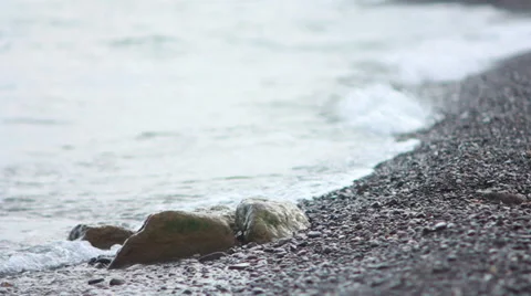 Sea Stock Footage 27269625