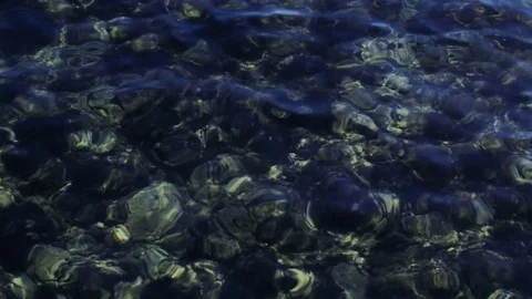 Into the sea Video stock 77111131