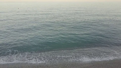 Sea 스톡 동영상 81879427